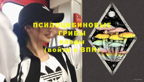 мескалин Гусев