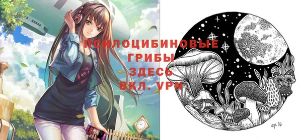 круглые Гусь-Хрустальный