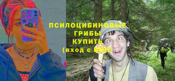 ГАЛЛЮЦИНОГЕННЫЕ ГРИБЫ Горнозаводск