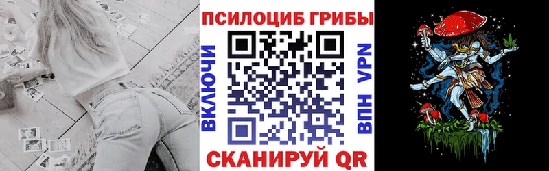 Псилоцибиновые грибы мицелий  купить   Стерлитамак 